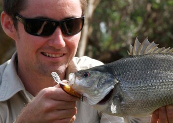 Image: Warren Keelan